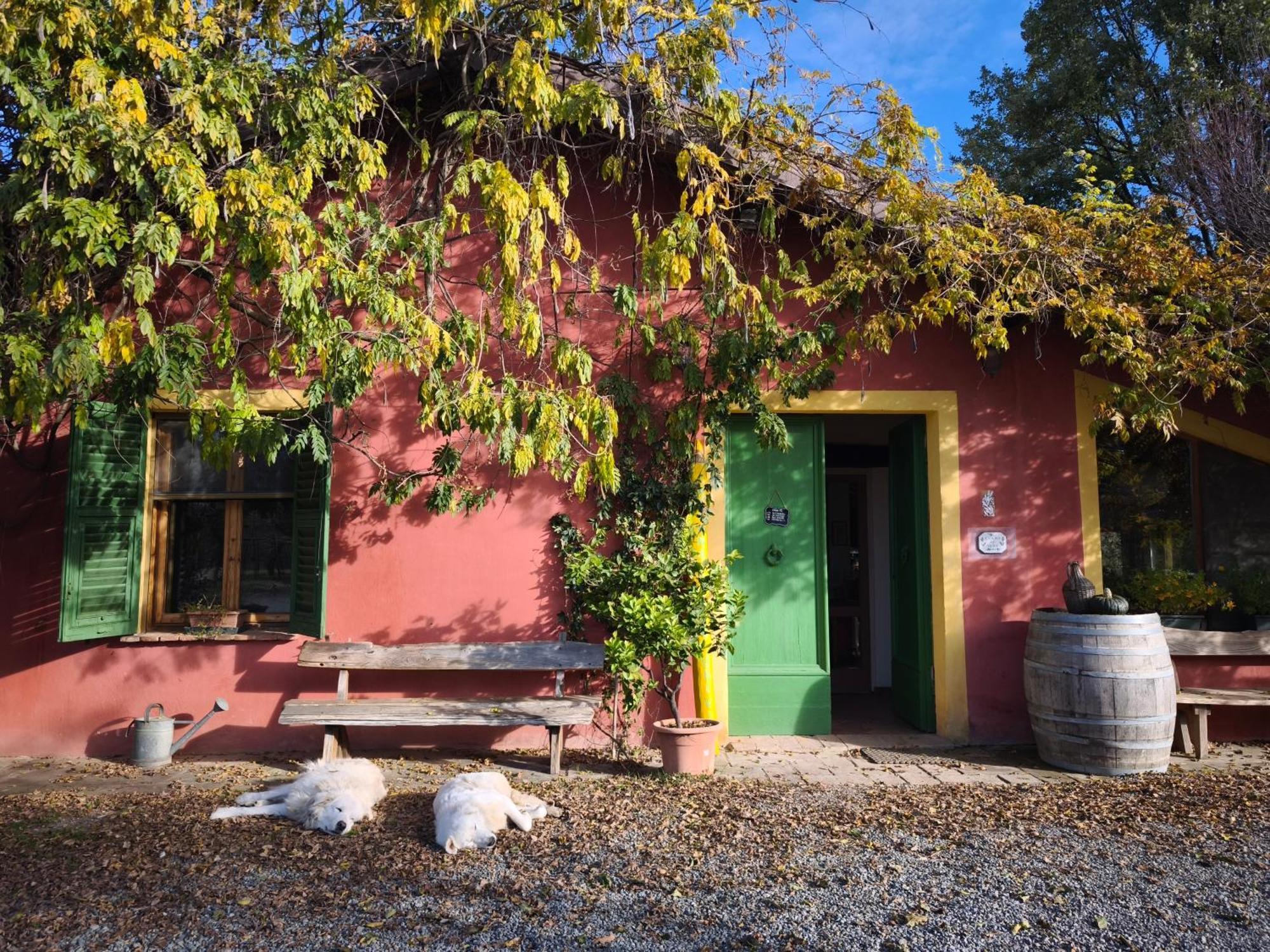 Agriturismo Cascina Degli Ulivi Novi Ligure Exterior foto